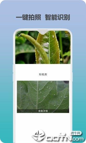 很准识蛾  v1.0.0图2