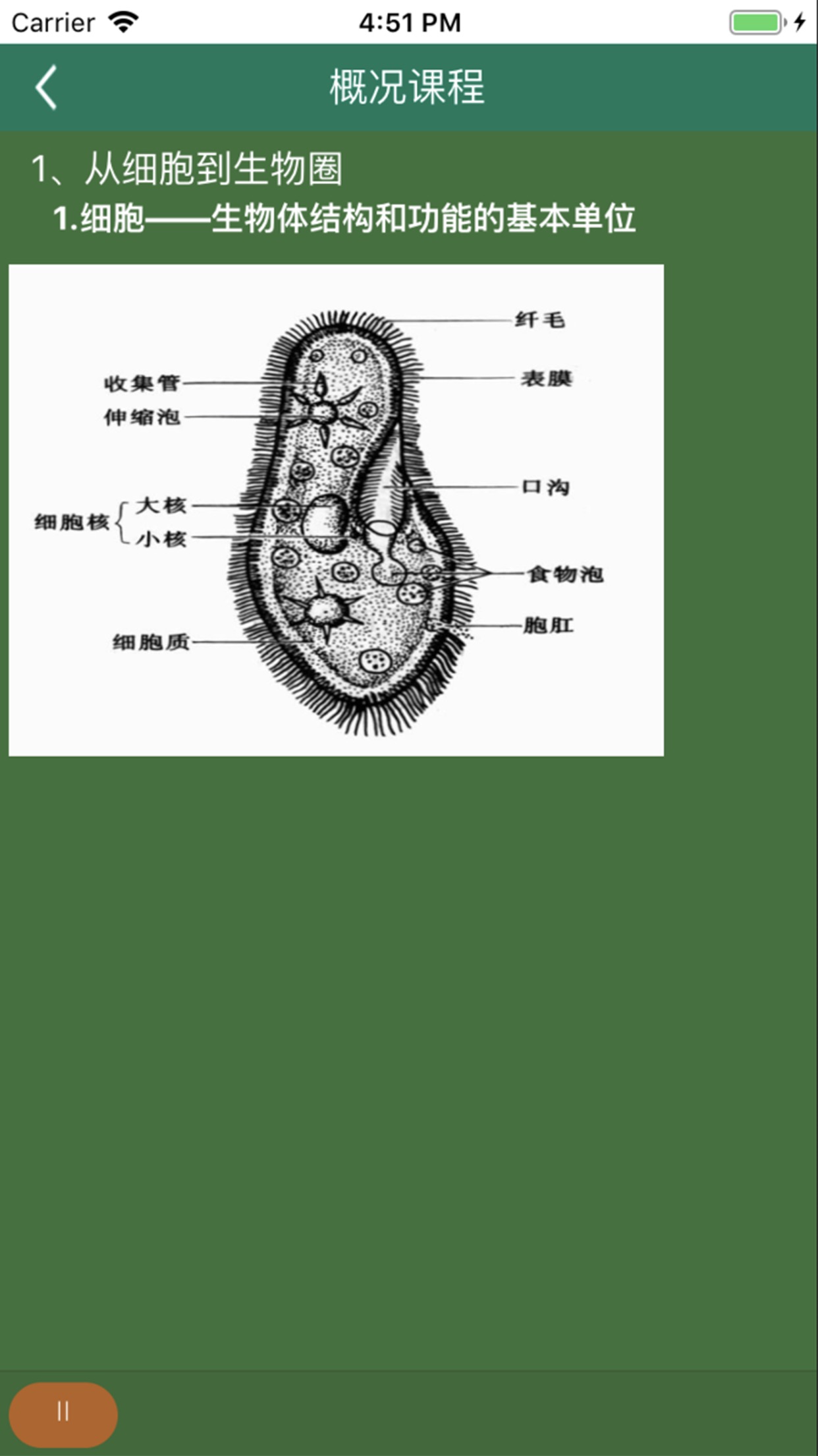 松鼠高中生物