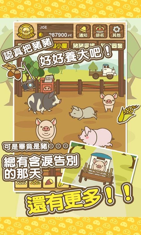 养猪场mix传承级猪  v8.2图2