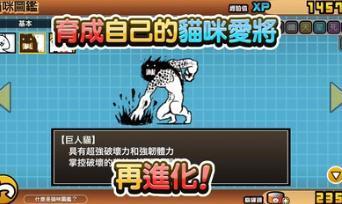 猫咪大战争dog版11.6  v6.2.0图2